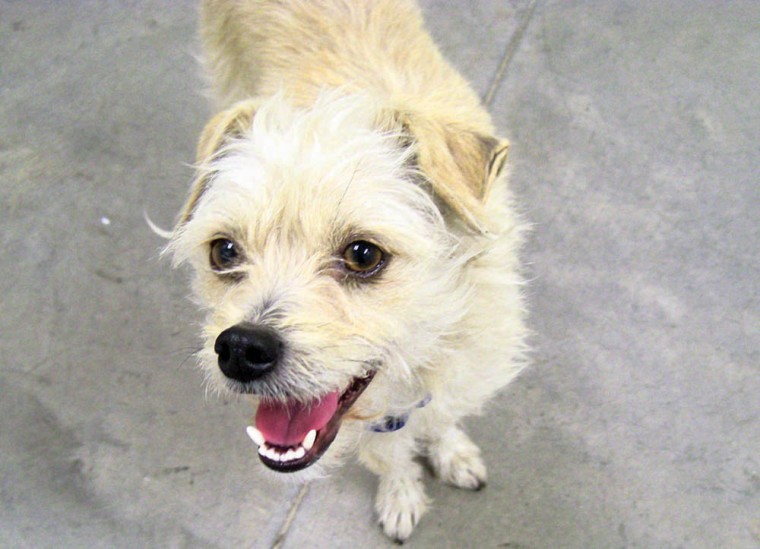 Someone to love: Casey